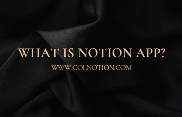 What-Is-Notion-App-Exploring-the-Notion-App - A New-Age-Productivity-Tool