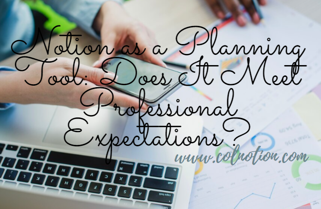 Notion as a Planning Tool: Does It Meet Professional Expectations?